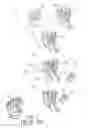 Fig. 04 - Method of making a ball glove