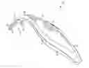Fig. 01 - DENTAL FLOSSER