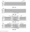 Fig. 07 - HIGH-EFFICIENCY, HIGH CURRENT SOLAR CELL AND SOLAR MODULE