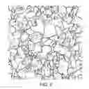 Fig. 03 - Thermo-mechanical process to enhance the quality of grain boundary networks