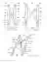 Fig. 04 - Assembly and method for taping walls for painting stripes and patterns