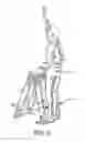 Fig. 06 - Ladder safety device