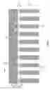 Fig. 02 - COMPOSITE MEMBRANE ASSEMBLIES AND METHODS OF MAKING AND USING THE SAME