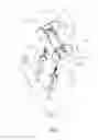 Fig. 03 - Fastening device for bicycle
