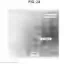 Fig. 22 - Composite silver nanoparticle, composite silver nanopaste, bonding method and patterning method