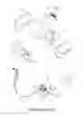 Fig. 02 - Discharge Implement of Reservoir for Portable Pressurized Sprayer