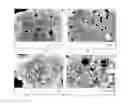 Fig. 01 - Negative electrode material for Li-ion batteries