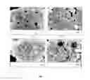 Fig. 02 - Negative electrode material for Li-ion batteries