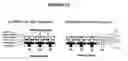 Fig. 15 - High efficiency electroluminescent devices and methods for producing the same