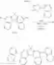 Fig. 15 - Dibenzo[c,g]fluorene compound and an organic light-emitting device using the same