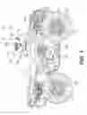 Fig. 02 - ADJUSTABLE HEIGHT SUSPENSION SYSTEM