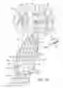Fig. 09 - SKATEBOARD