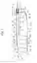 Fig. 02 - Airbag device