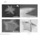 Fig. 03 - Multielement and multiproperty tagging