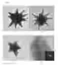 Fig. 04 - Multielement and multiproperty tagging