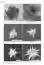 Fig. 05 - Multielement and multiproperty tagging