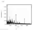 Fig. 10 - Multielement and multiproperty tagging