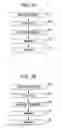 Fig. 02 - Droplet ejecting head, droplet ejecting apparatus, piezoelectric device, and ceramic