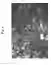 Fig. 09 - USE OF VIDEO CAMERA ANALYTICS FOR CONTENT AWARE DETECTION AND REDUNDANT STORAGE OF OCCURRENCES OF EVENTS OF INTEREST
