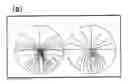Fig. 01 - Method of selecting lens design standard