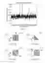 Fig. 04 - OPTICAL READER SYSTEM AND METHOD FOR MONITORING AND CORRECTING LATERAL AND ANGULAR MISALIGNMENTS OF LABEL INDEPENDENT BIOSENSORS
