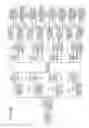 Fig. 41 - Image processing device and image processing method