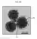 Fig. 08 - Electrochromic device and method of manufacturing the same