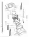 Fig. 06 - Rotary-Driven Mechanism for Non-Rotational Linear Actuation