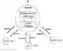 Fig. 01 - Uplink scheduling DSF wireless networks