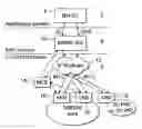 Fig. 01 - Method for providing a plurality of services