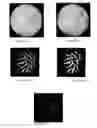 Fig. 09 - Device, system and method for automatic detection of contractile activity in an image frame
