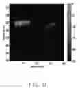 Fig. 12 - CONTRAST IMPROVEMENT METHOD AND SYSTEM FOR PHOTOACOUSTIC IMAGING