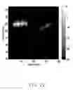 Fig. 22 - CONTRAST IMPROVEMENT METHOD AND SYSTEM FOR PHOTOACOUSTIC IMAGING