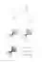 Fig. 02 - APPARATUS FOR ACQUIRING MULTILAYER PANORAMIC IMAGES AND METHOD FOR ACQUIRING PANORAMIC IMAGES