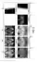 Fig. 06 - Printing graphics with transparency on a postscript enabled image forming device