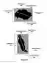 Fig. 09 - Pixel-level based micro-feature extraction