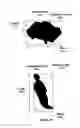 Fig. 11 - Pixel-level based micro-feature extraction