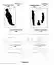 Fig. 14 - Pixel-level based micro-feature extraction