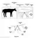 Fig. 16 - Pixel-level based micro-feature extraction