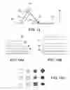 Fig. 12 - METHOD AND SYSTEM FOR RECOGNIZING OBJECTS IN AN IMAGE BASED ON CHARACTERISTICS OF THE OBJECTS