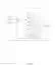 Fig. 07 - System and method for enhancement of images in a selected region of interest of a captured image