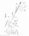 Fig. 33 - BAG