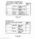 Fig. 23 - Information storage medium and information recording/playback system