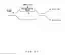 Fig. 29 - Optical switch and optical waveform monitoring device utilizing optical switch