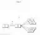 Fig. 02 - REMOTELY OPTICALLY AMPLIFIED PON SYSTEM, OLT, AND RN, AND OPTICAL AMPLIFICATION AND GAIN-CLAMPING METHODS OF PON SYSTEM