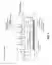 Fig. 02 - Image forming apparatus