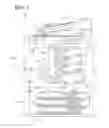 Fig. 02 - Image forming apparatus