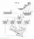 Fig. 07 - IMAGE FORMING APPARATUS AND IMAGE FORMING METHOD