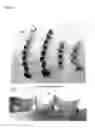 Fig. 08 - Drill, cutting insert, and method of manufacturing cut product
