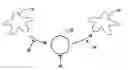Fig. 01 - METHODS AND COMPOSITIONS FOR REDUCING STEMNESS IN ONCOGENESIS